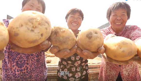 格林凱爾客戶(hù)見(jiàn)證